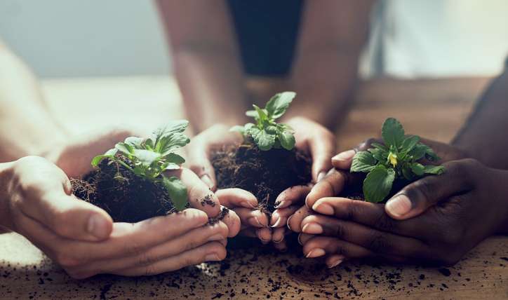 Cubicle Horticulture